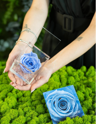 FLOWERCUBE 6X6 AZUL CLARO 2