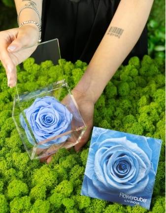 FLOWERCUBE ROSA 8X8 AZUL CLARO 2