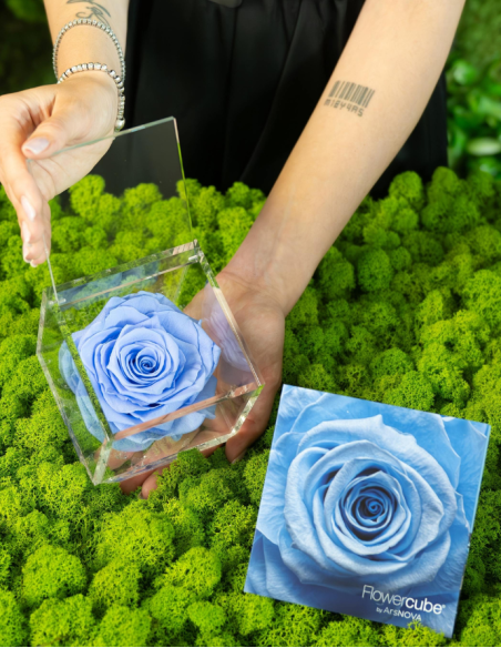 FLOWERCUBE ROSA 8X8 AZUL CLARO