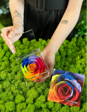 FLOWERCUBE ROSA 10X10 MULTICOLOR 2