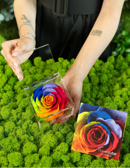 FLOWERCUBE ROSA 10X10 MULTICOLOR