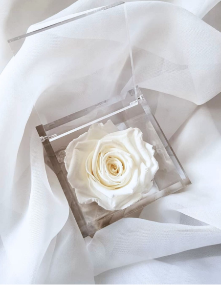 FLOWERCUBE 6X6 BLANCO