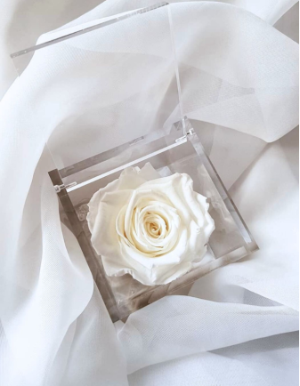 FLOWERCUBE ROSA 8X8 BLANCO