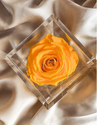 FLOWERCUBE ROSA 8X8 AMARILLO