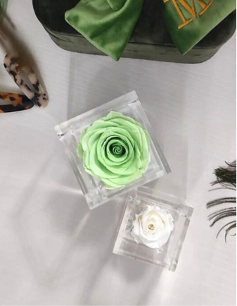 FLOWERCUBE 6X6 VERDE