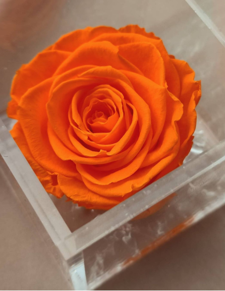 FLOWERCUBE 6X6 NARANJA