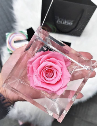 FLOWERCUBE 6X6 ROSA