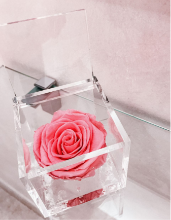 FLOWERCUBE ROSA 8X8 ROSA