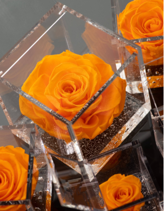 FLOWERCUBE ROSA 8X8 NARANJA