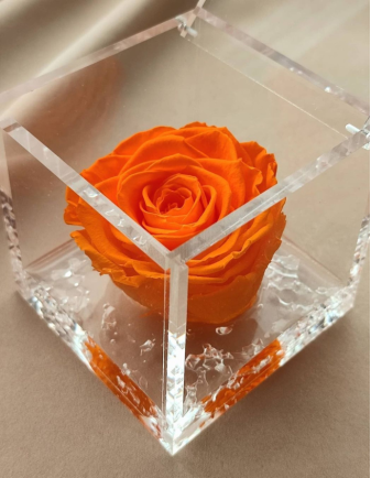 FLOWERCUBE ROSA 10X10 NARANJA