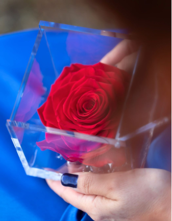 FLOWERCUBE ROSA 8X8 ROJA