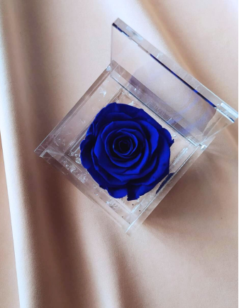 FLOWERCUBE 6X6 AZUL OSCURO