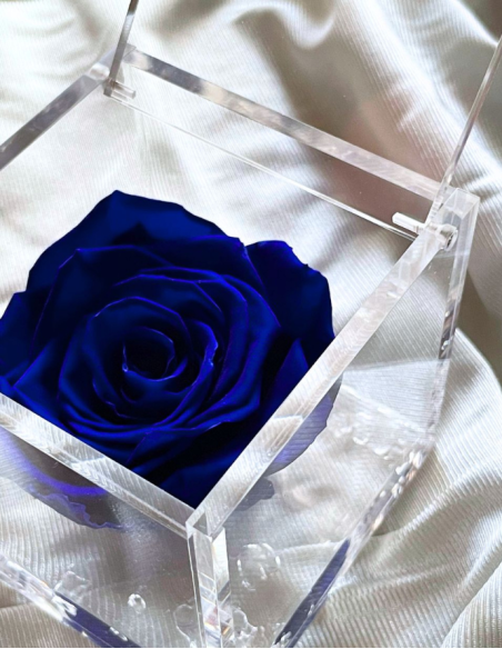 FLOWERCUBE ROSA 8X8 AZUL OSCURO