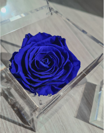 FLOWERCUBE ROSA 10X10 AZUL OSCURO