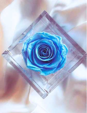FLOWERCUBE ROSA 8X8 AZUL CLARO