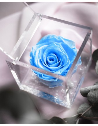 FLOWERCUBE 6X6 AZUL CLARO