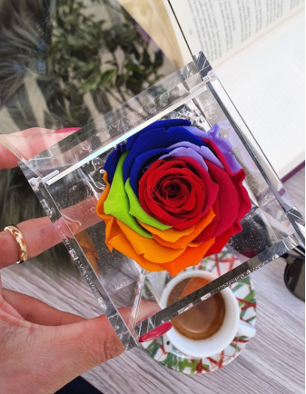 FLOWERCUBE ROSA 6X6 MULTICOLOR