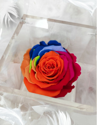 FLOWERCUBE ROSA 8X8 MULTICOLOR