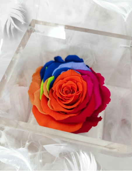 FLOWERCUBE ROSA 8X8 MULTICOLOR
