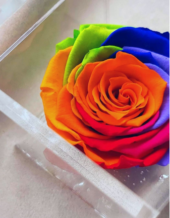 FLOWERCUBE ROSA 10X10 MULTICOLOR