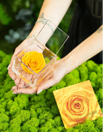 FLOWERCUBE ROSA 10X10 AMARILLA 2