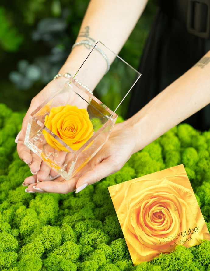 FLOWERCUBE ROSA 10X10 AMARILLA