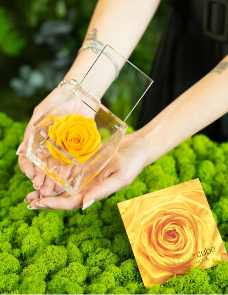 FLOWERCUBE ROSA 10X10 AMARILLA