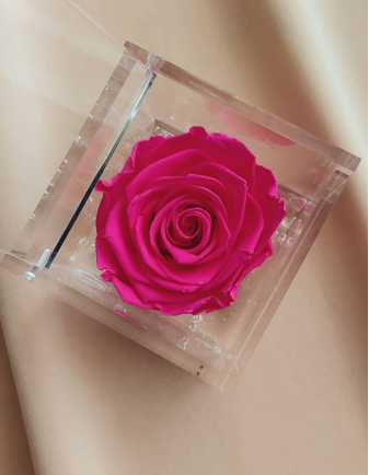 FLOWERCUBE 6X6 FUCSIA