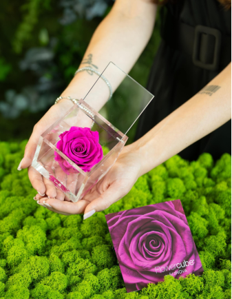 FLOWERCUBE 6X6 FUCSIA 2