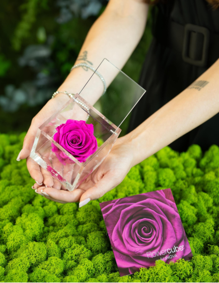 FLOWERCUBE 6X6 FUCSIA
