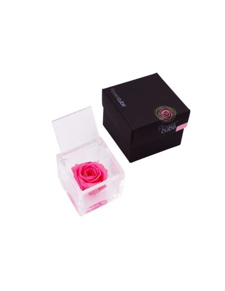 FLOWERCUBE 6X6 FUCSIA