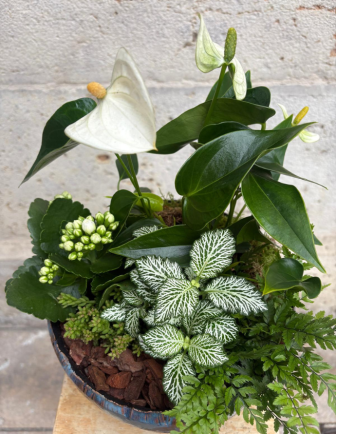 Arreglo de Anthurium en cerámica 2