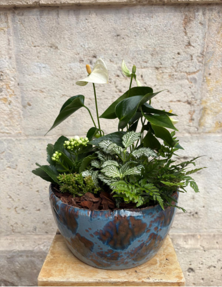 ARREGLO DE ANTHURIUM EN CERÁMICA