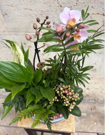 ARREGLO DE ORQUÍDEA ROSA EN CERÁMICA 2
