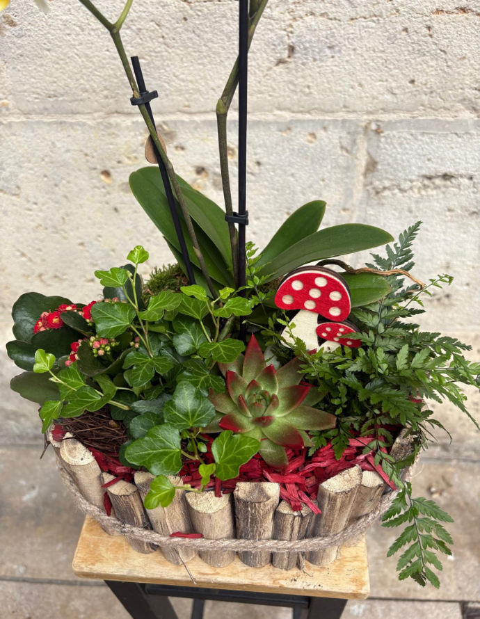 ARREGLO DE PLANTAS EN MADERA