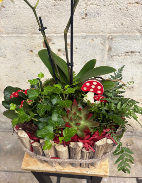 ARREGLO DE PLANTAS EN MADERA
