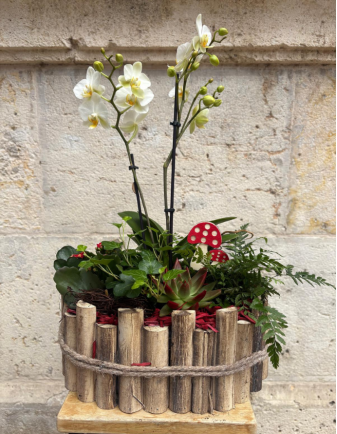 ARREGLO DE PLANTAS EN MADERA