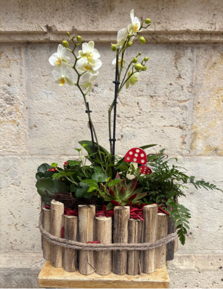 ARREGLO DE PLANTAS EN MADERA