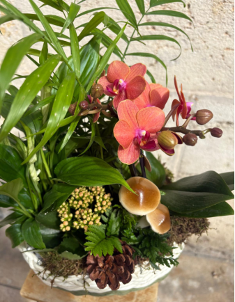 ARREGLO DE ORQUÍDEA EN MIMBRE 2