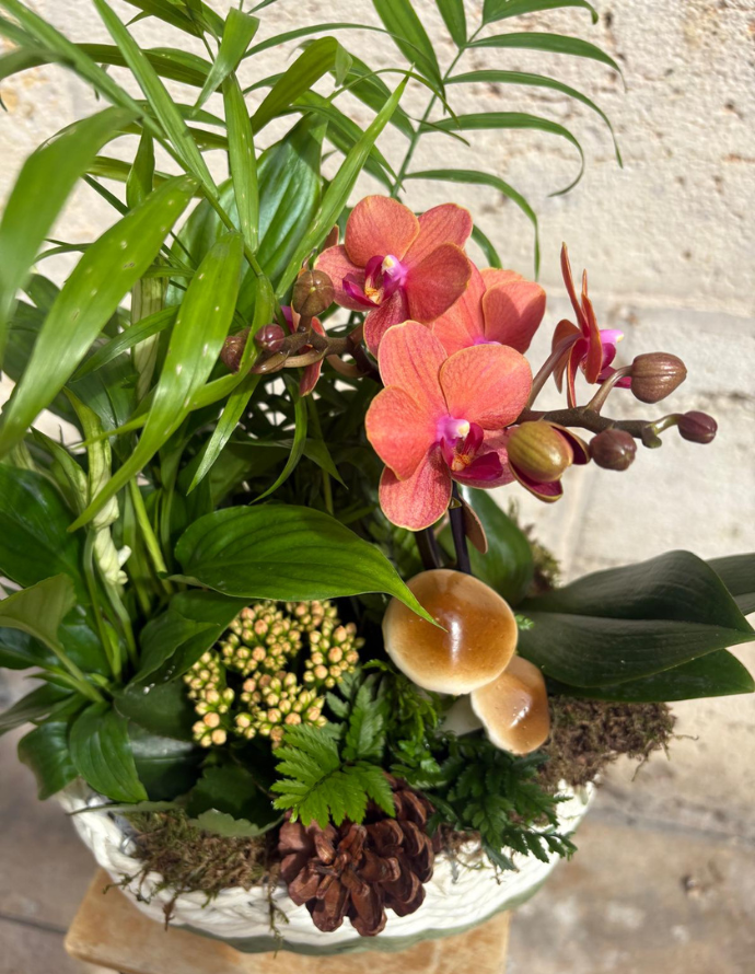 ARREGLO DE ORQUÍDEA EN MIMBRE