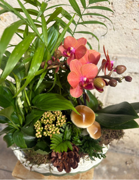 ARREGLO DE ORQUÍDEA EN MIMBRE