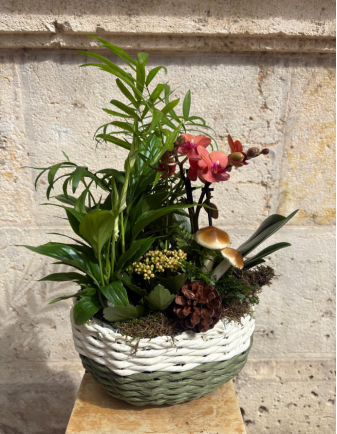 ARREGLO DE ORQUÍDEA EN MIMBRE