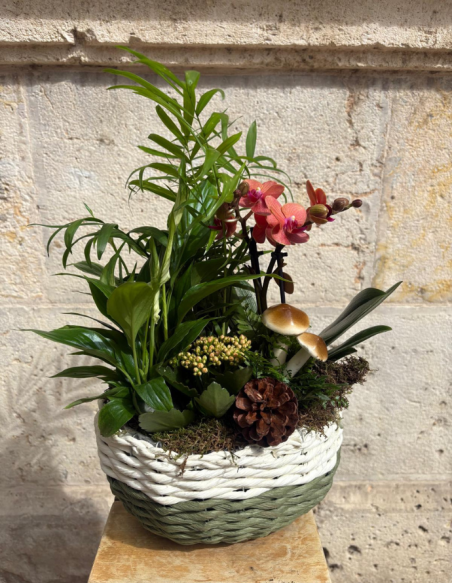 ARREGLO DE ORQUÍDEA EN MIMBRE