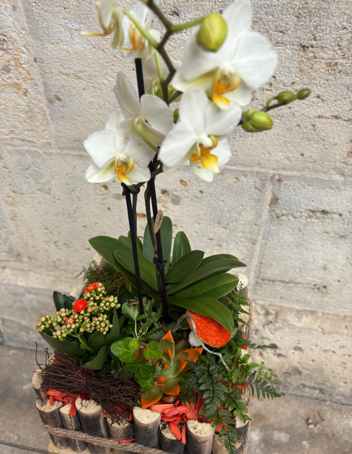 ARREGLO DE PLANTAS EN MADERA