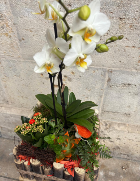 ARREGLO DE PLANTAS EN MADERA