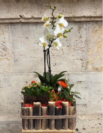 ARREGLO DE PLANTAS EN MADERA