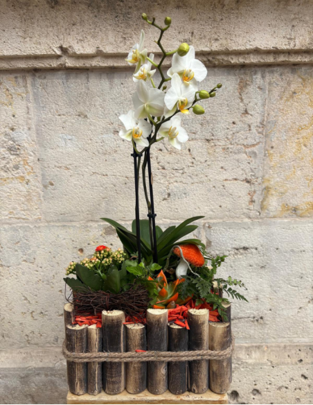 ARREGLO DE PLANTAS EN MADERA