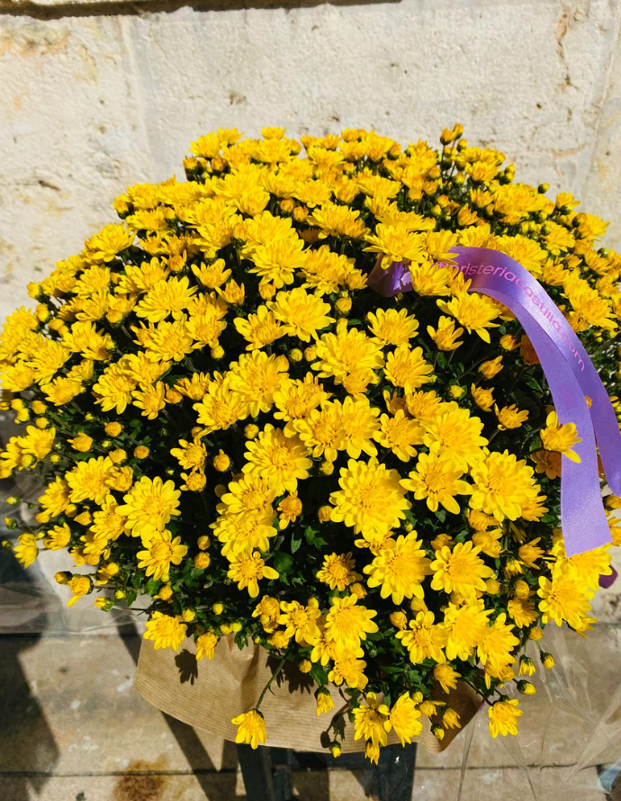 Crisantemo PREMIUM Amarillo