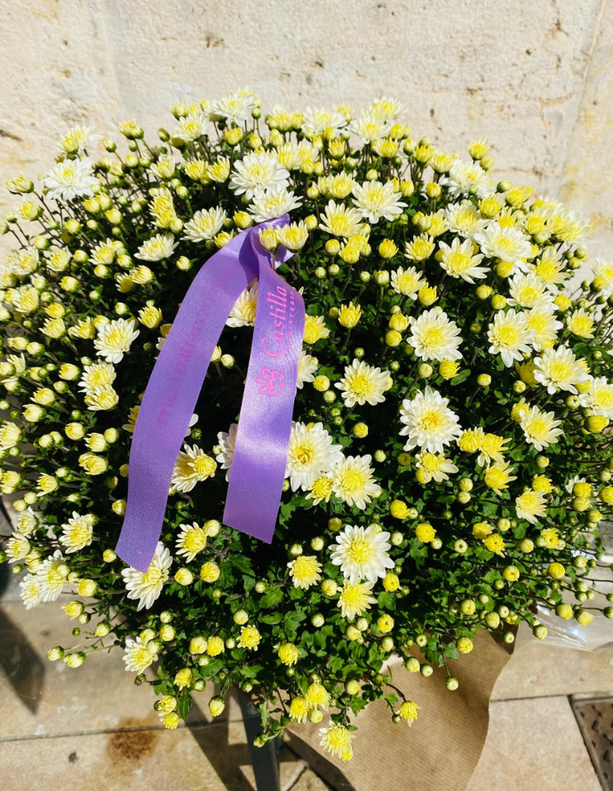 Crisantemo Blanco Crisantemo Blanco