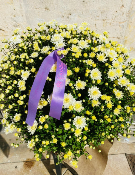 Crisantemo Blanco
